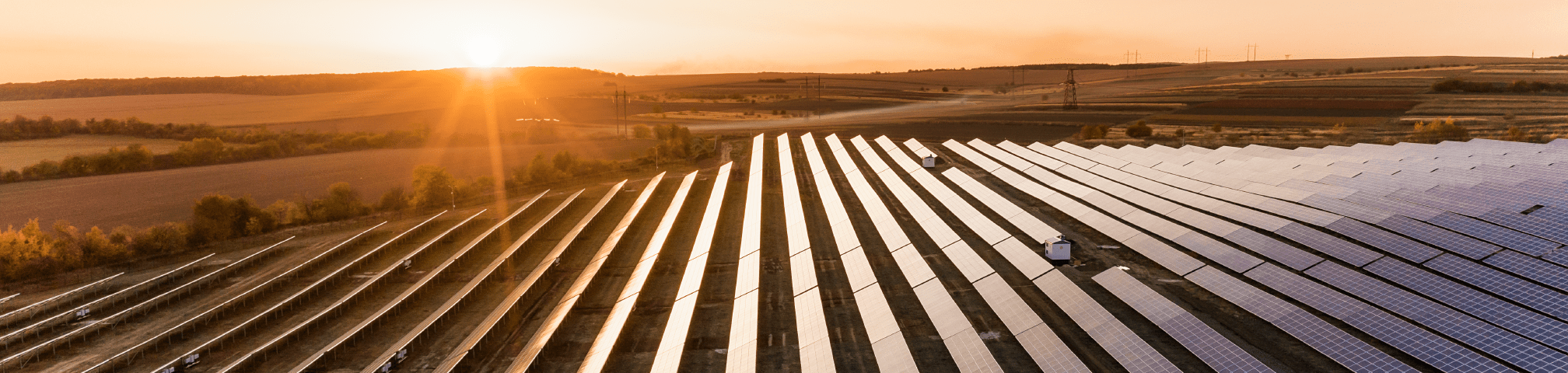 Field of solar panels